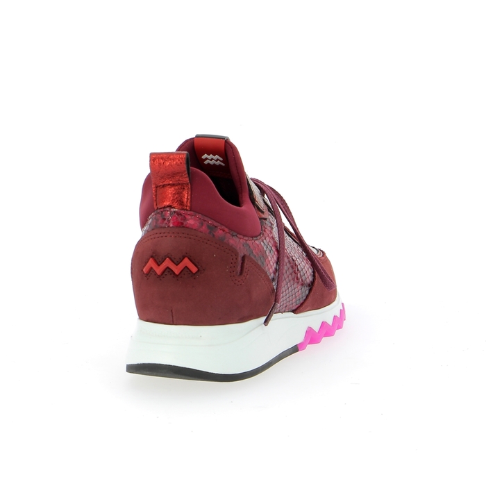 Floris Van Bommel Sneakers bordeaux