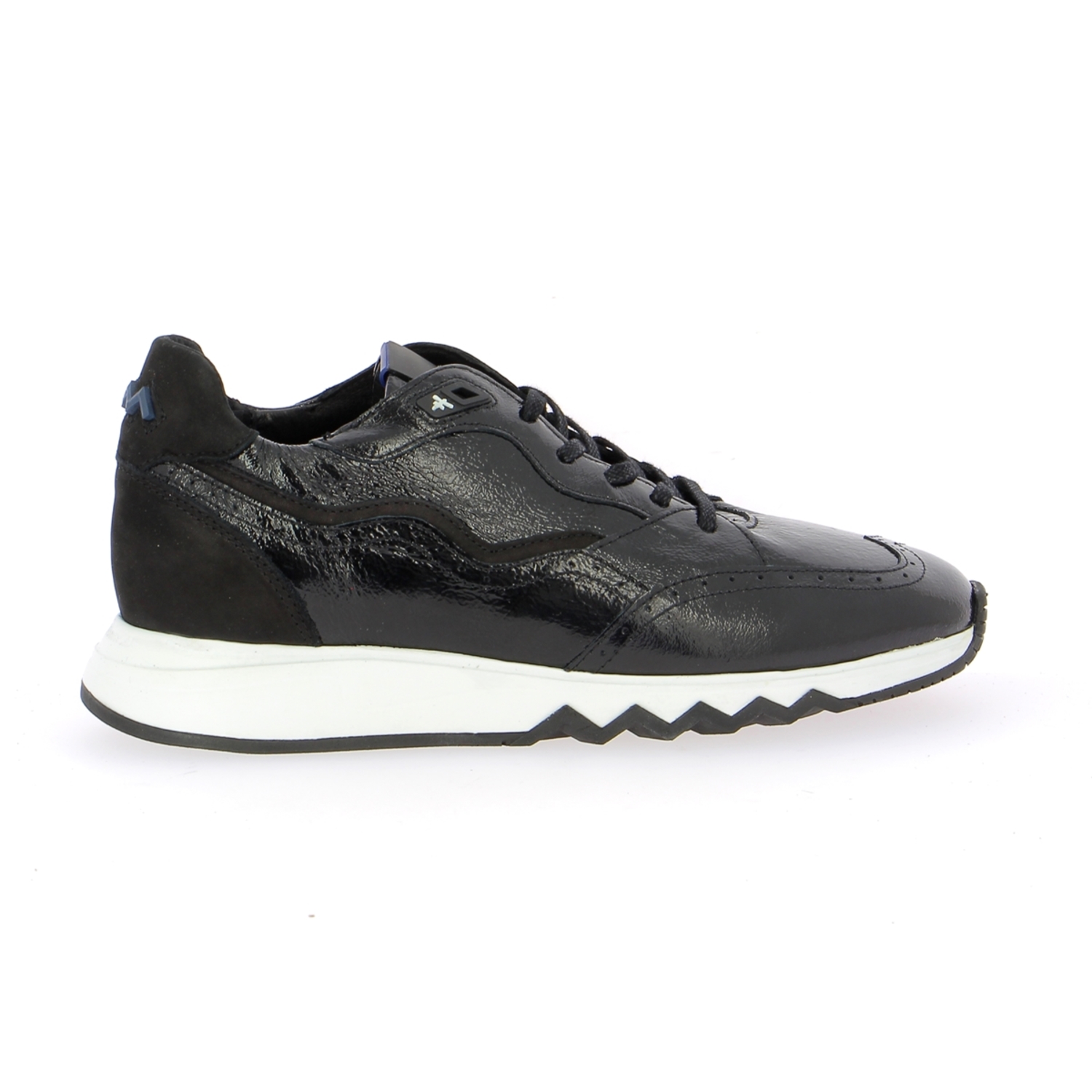 Zoom Floris Van Bommel sneakers zwart