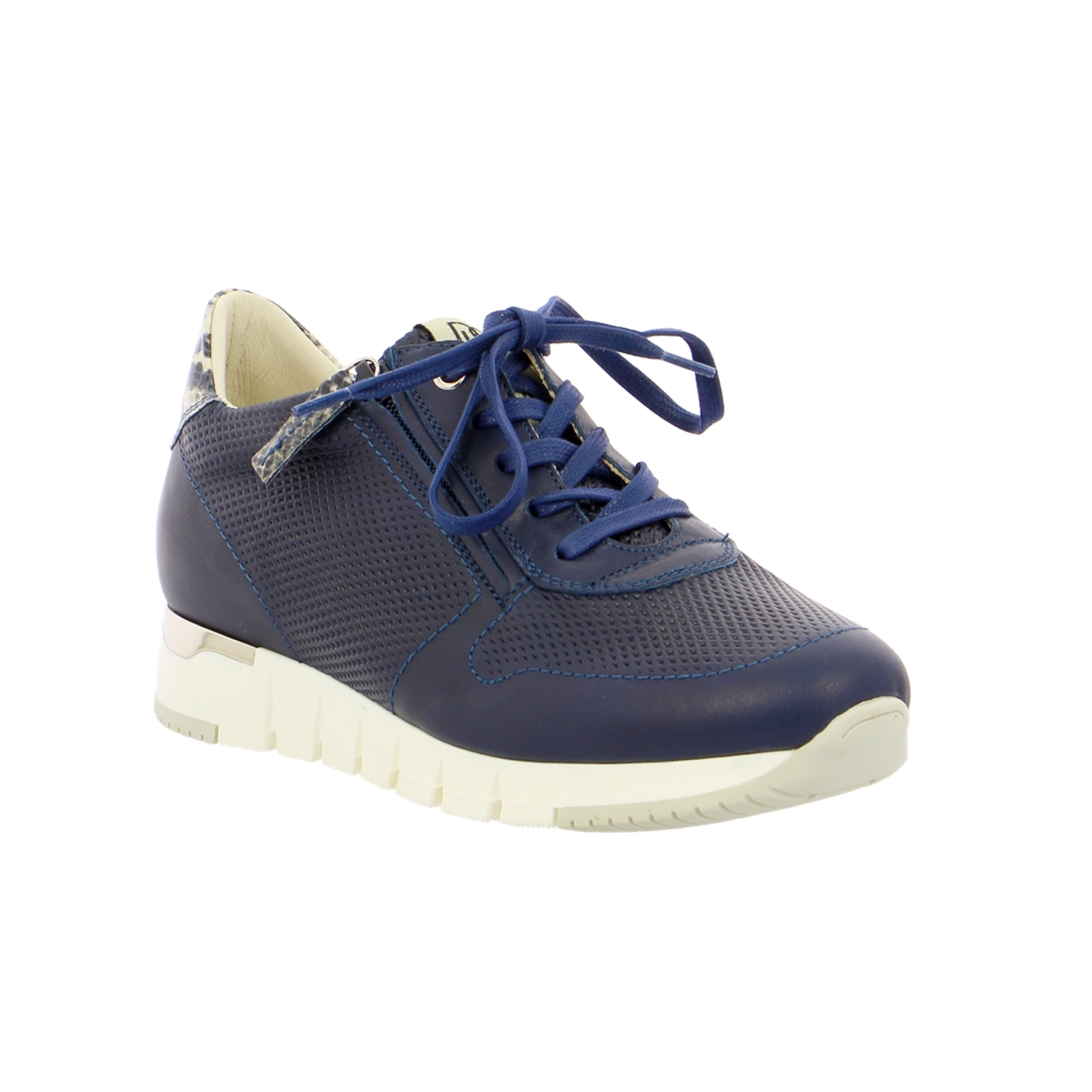 Zoom Dlsport basket bleu