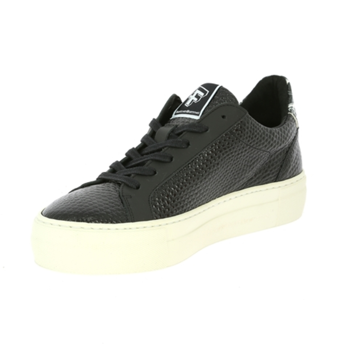 Zoom Floris Van Bommel Sneakers