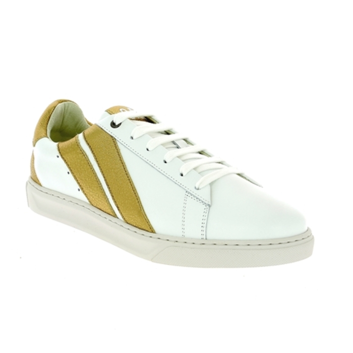 Caval sneakers goud goud