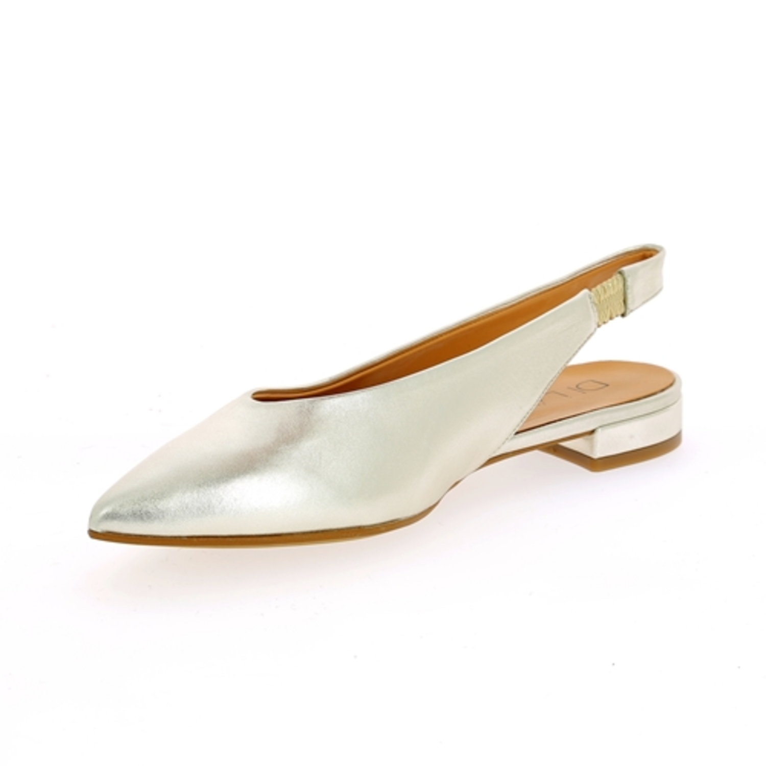 Zoom Di Lauro ballerinas platinum