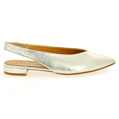 Di Lauro ballerinas platinum