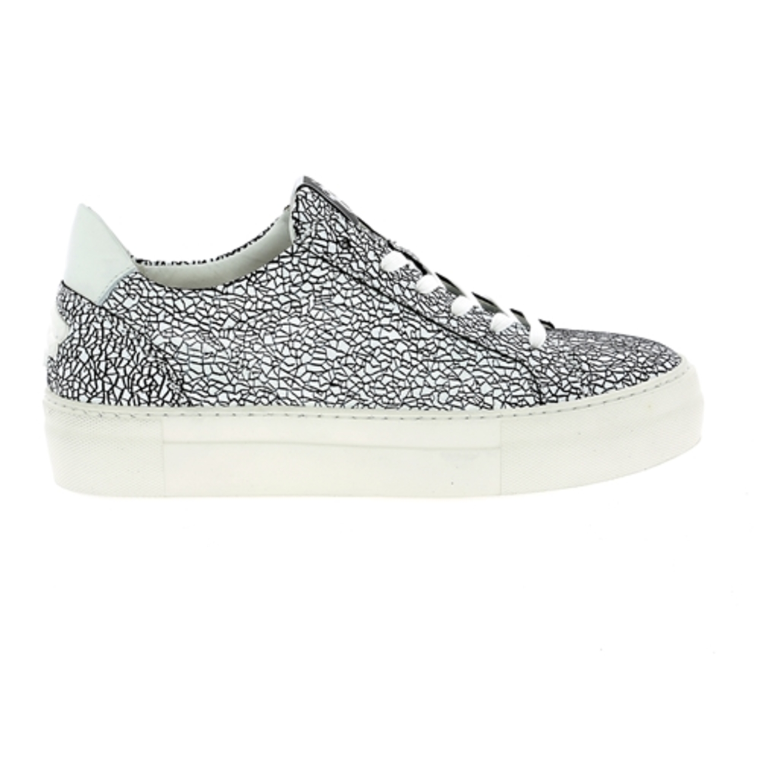 Zoom Floris Van Bommel Sneakers