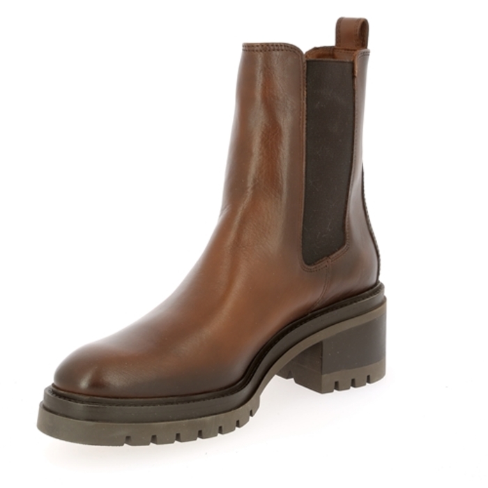 Gioia Boots bruin