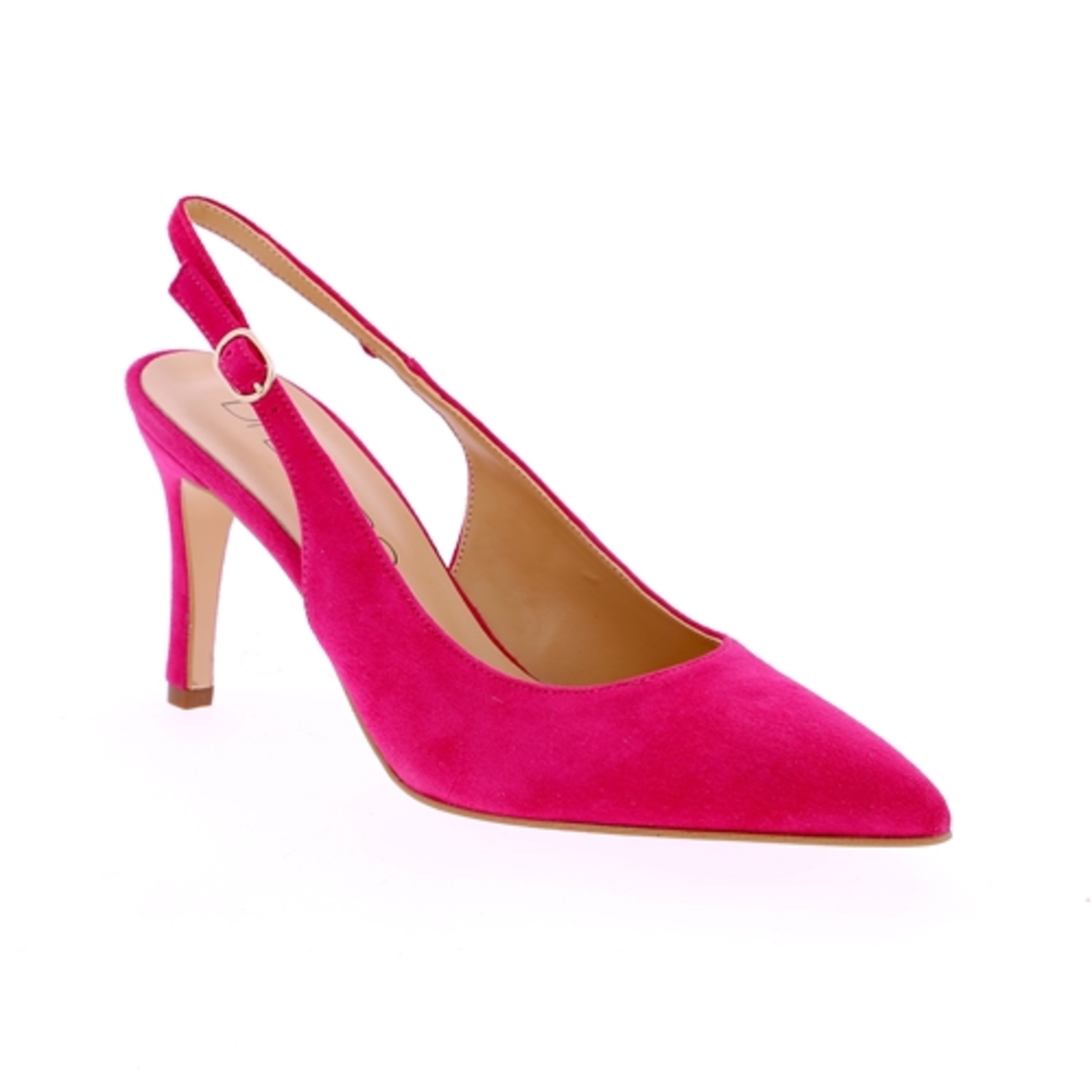 Zoom Di Lauro Pumps