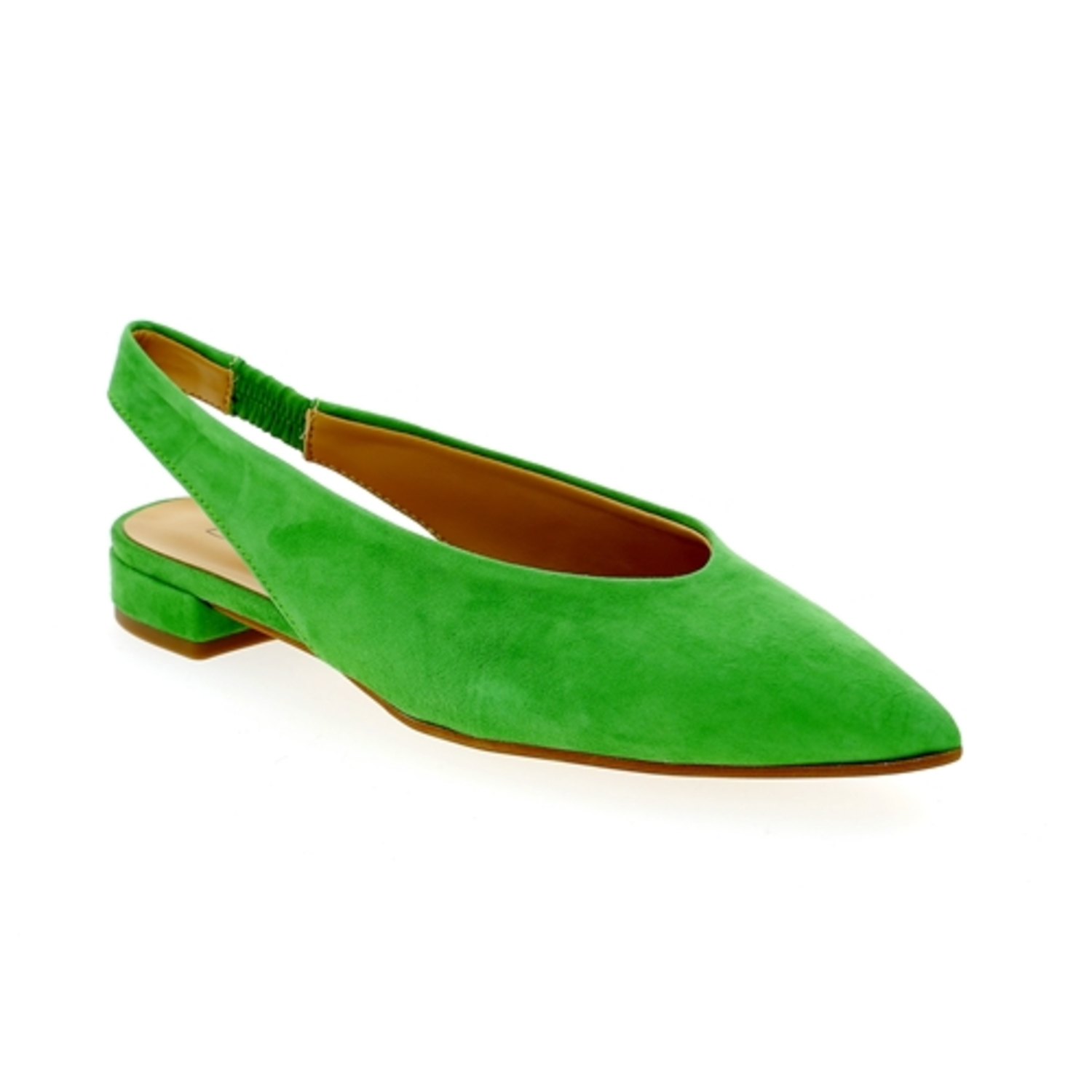 Zoom Di Lauro ballerines vert