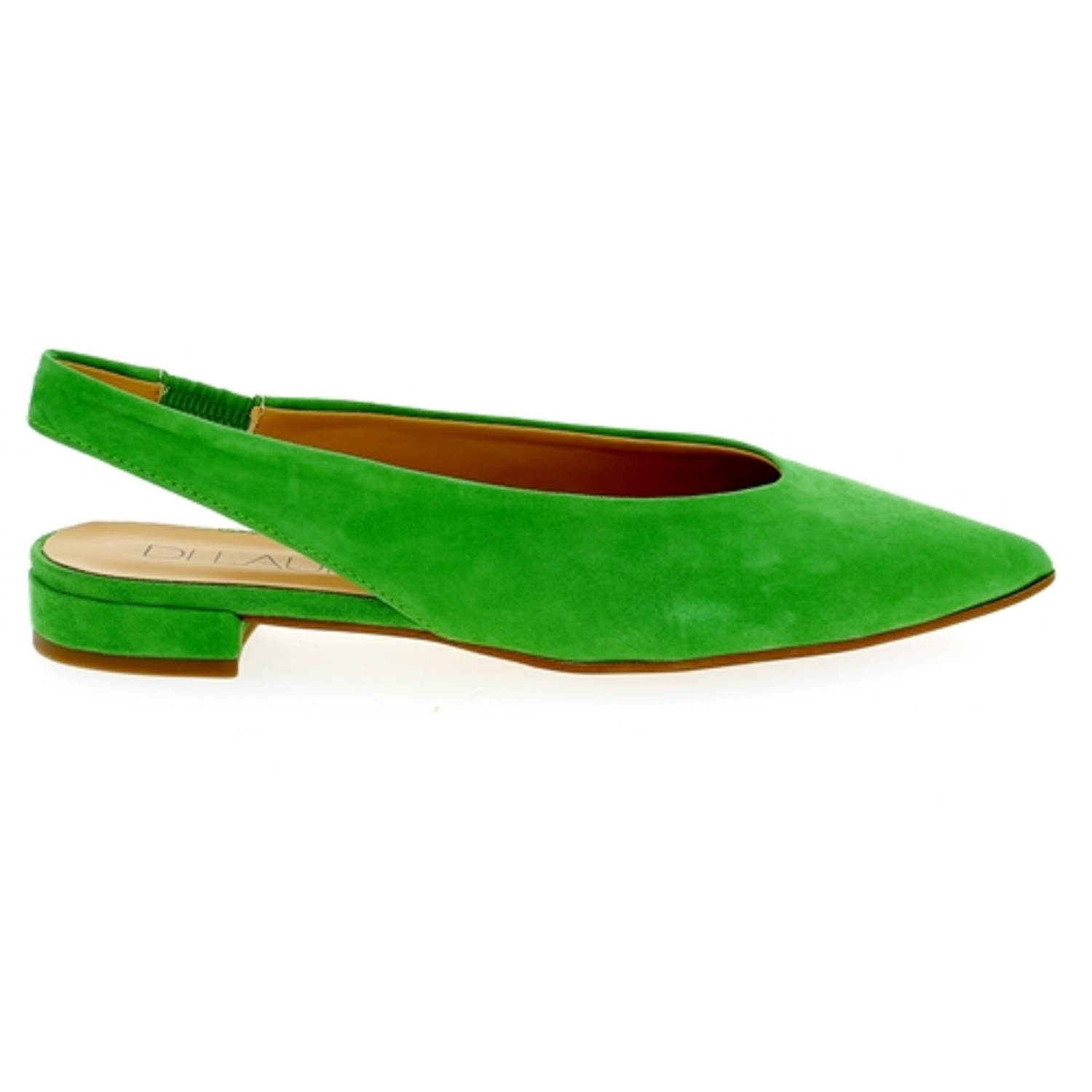 Zoom Di Lauro ballerines vert