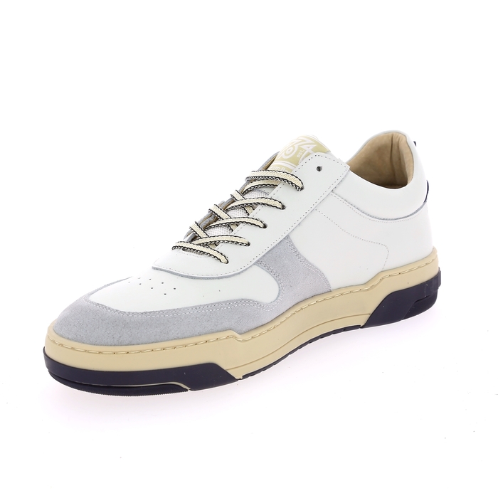 Floris Van Bommel Basket gris