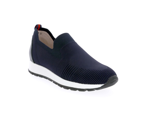 Rapid Soul Sneakers blauw