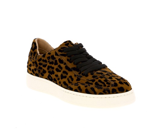 Donna Lei Basket leopard