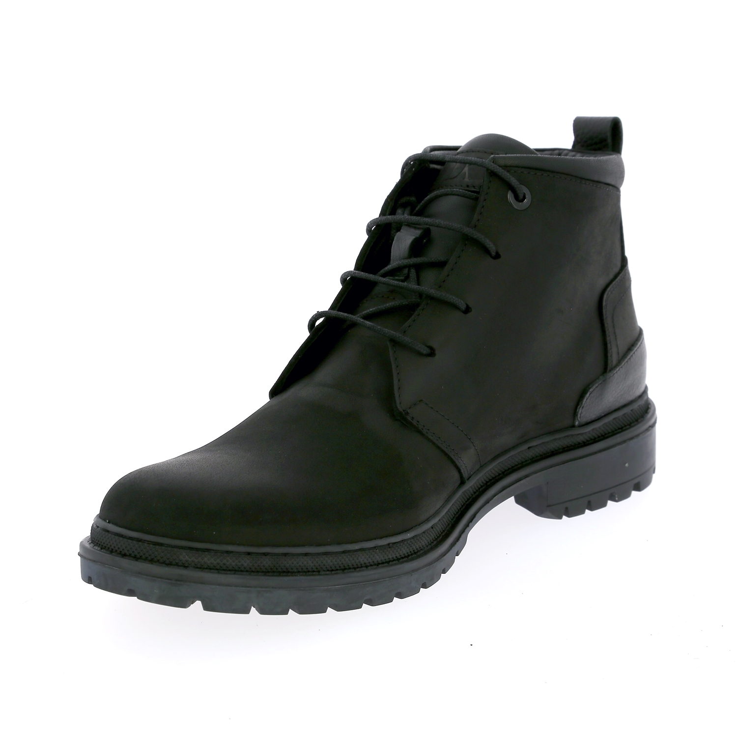 Zoom Daniel Kenneth Bottines