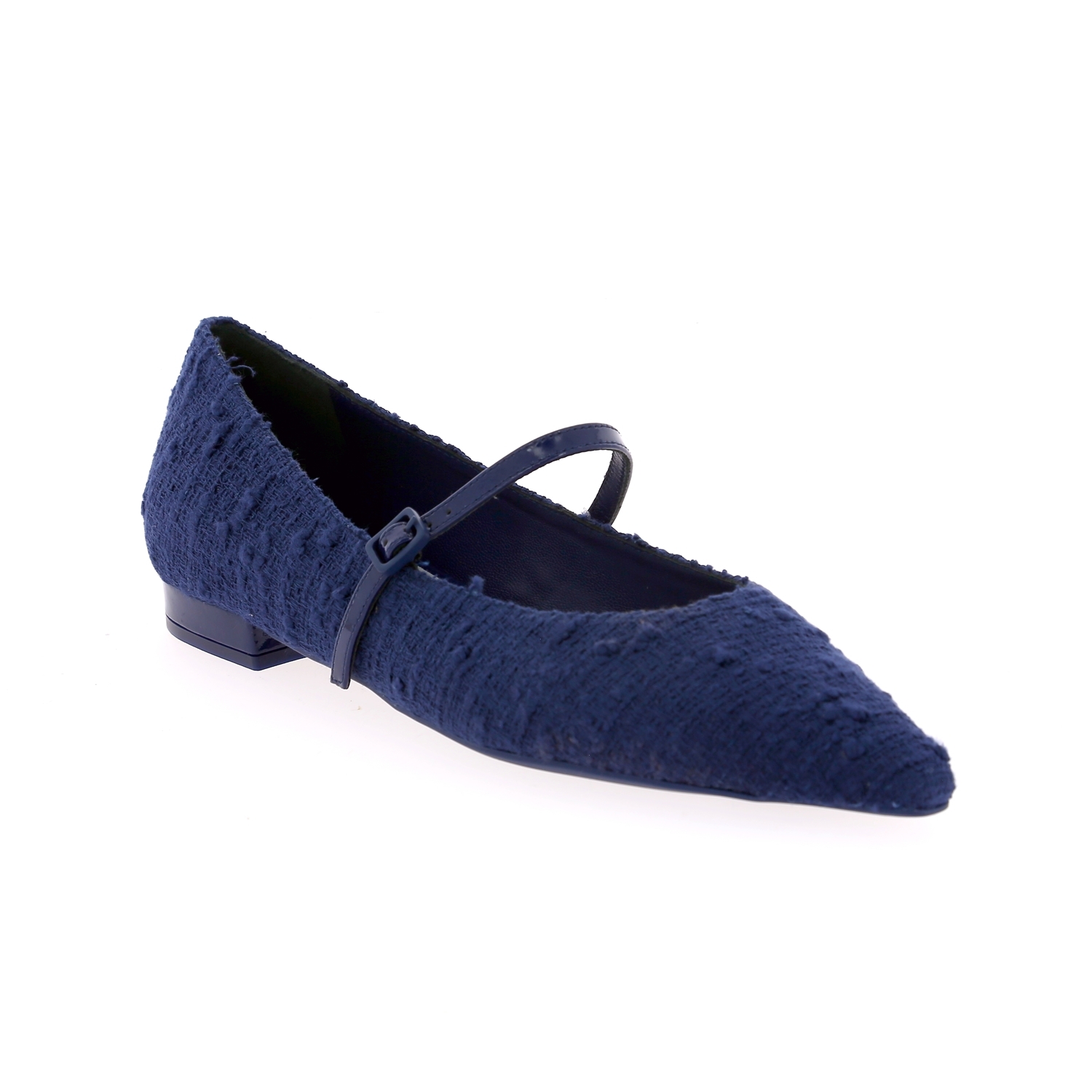 Zoom Roberto Festa ballerinas blauw