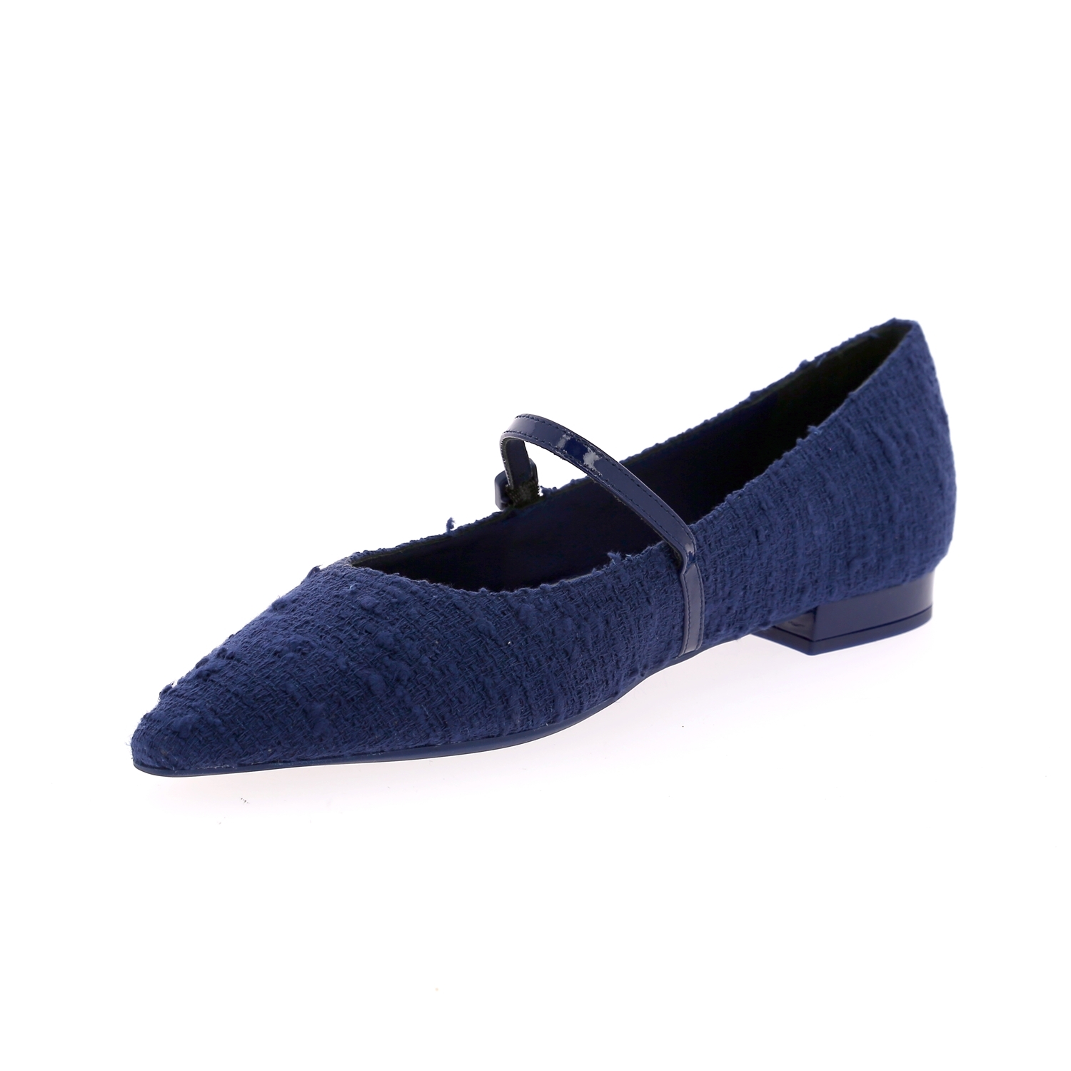 Zoom Roberto Festa ballerinas blauw